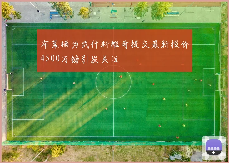 布莱顿为武什科维奇提交最新报价4500万镑引发关注