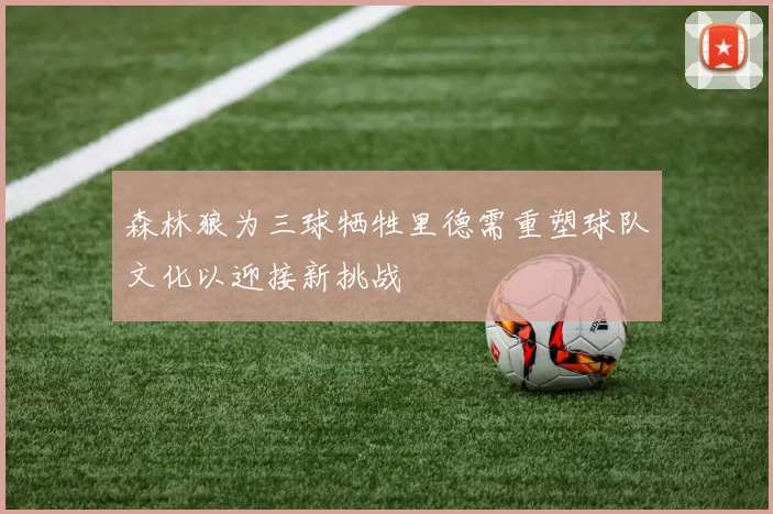 森林狼为三球牺牲里德需重塑球队文化以迎接新挑战
